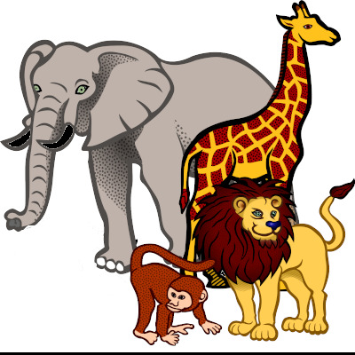 Wild Animals